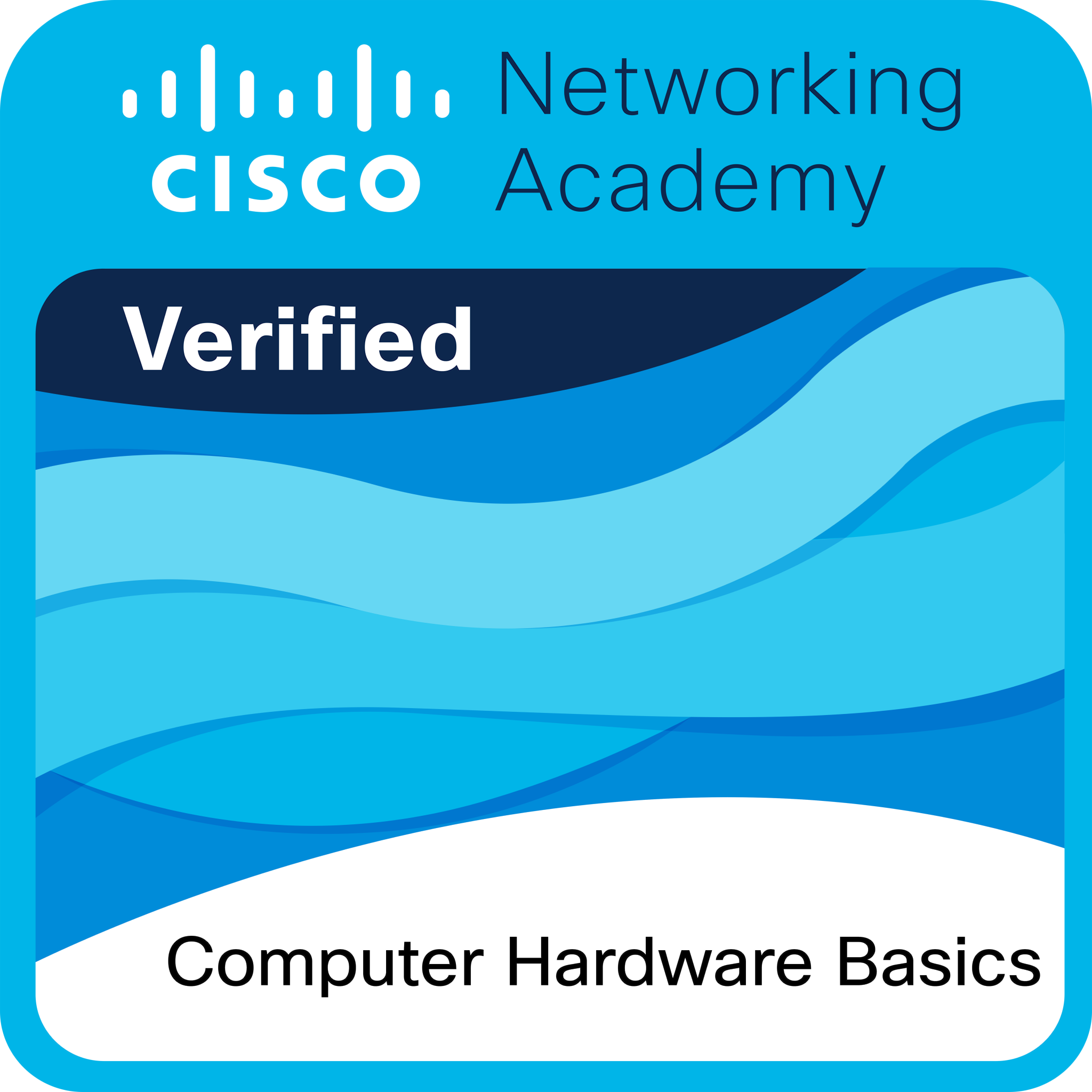 Computer Hardware Basics Badge